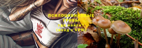 наркотики Бородино