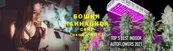 наркотики Бородино