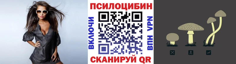 Псилоцибиновые грибы MAGIC MUSHROOMS  Сковородино 